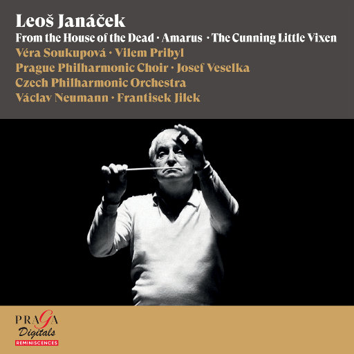 极品粉嫩小仙女小穴69XX
